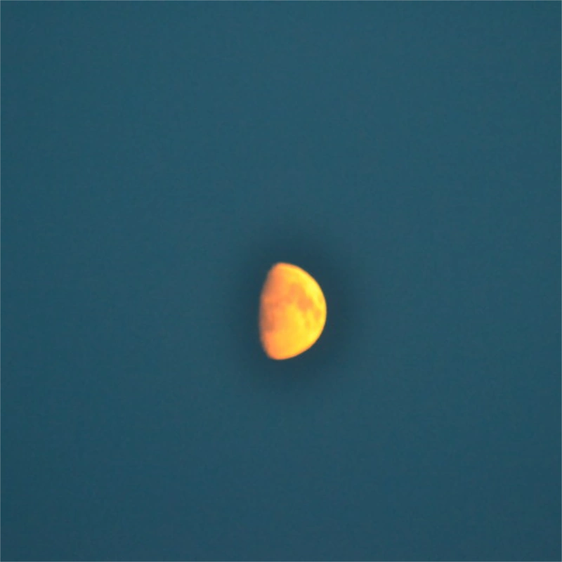 PIAAC i Danmark Trine Bendix Knudsen Close-up of a blurred, orange-tinted half moon against a deep blue sky at dusk.