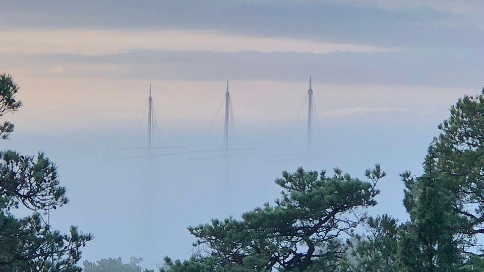 Framtidens arbetsmarknad och grön omställning Framtidens arbetsmarknad och grön omställning