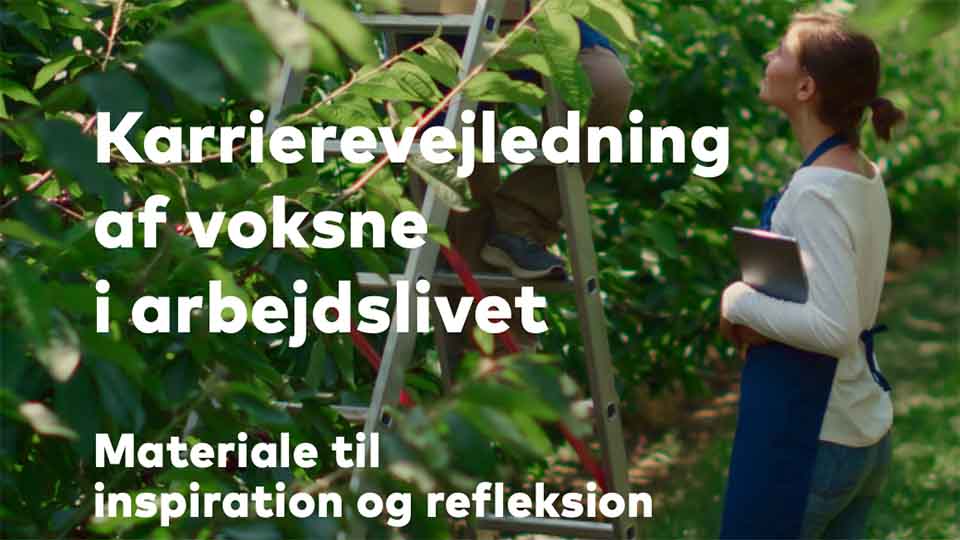 Karrierevejledning af voksne i arbejdslivet