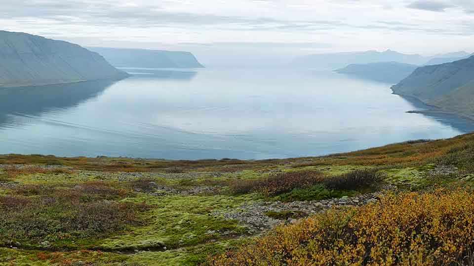 Møde med islandske repræsentanter i NVL’s netværk og arbejdsgrupper