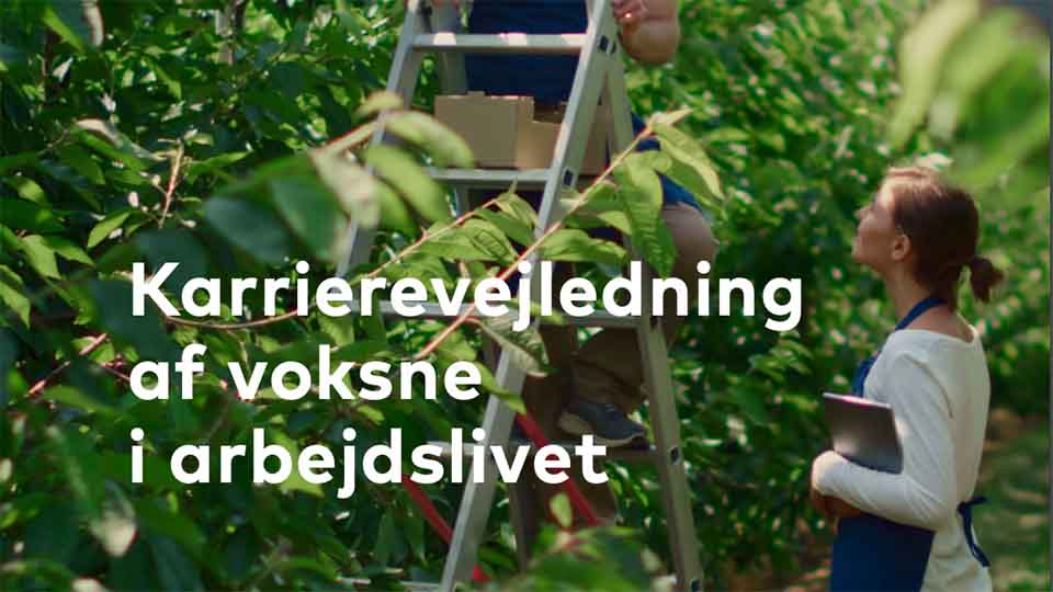 Karrierevejledning af voksne i arbejdslivet Karrierevejledning af voksne i arbejdslivet