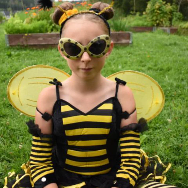 Bumblebee – ambassadors Bumblebee – ambassadors