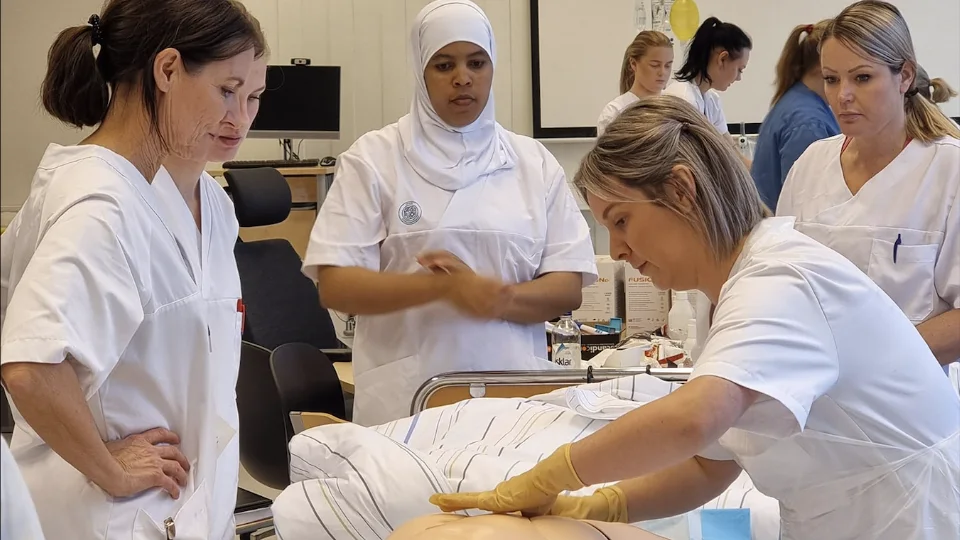 Flere og mer fleksible utdanningstilbud skal hindre flaskehalser i utviklingen Nurses