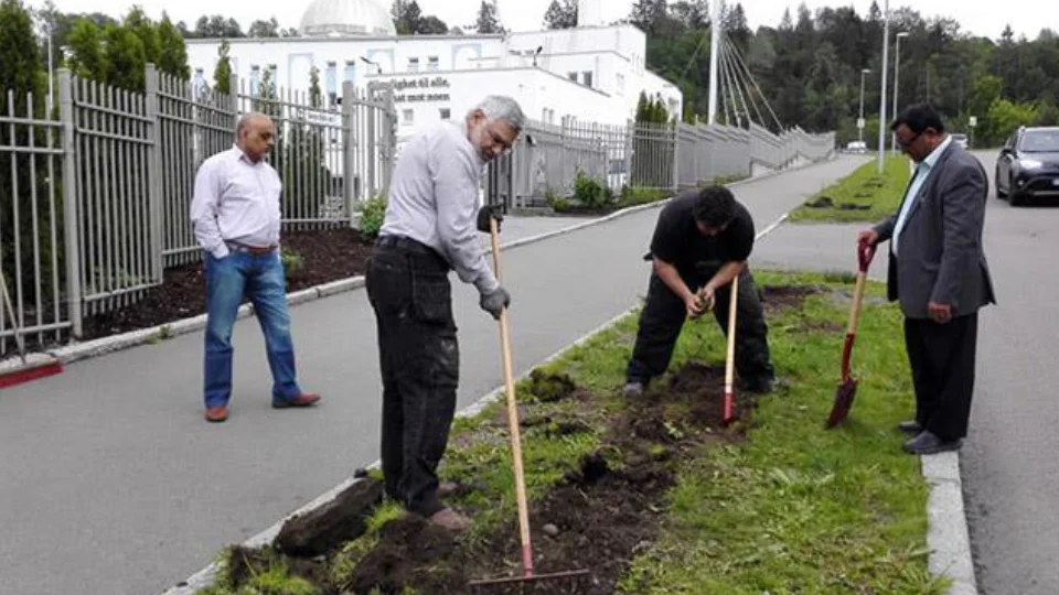 Preparing for pollinator friendly street-garden, Photo: Naturvernforbundet Groruddalen Preparing for pollinator friendly street-garden, Photo: Naturvernforbundet Groruddalen