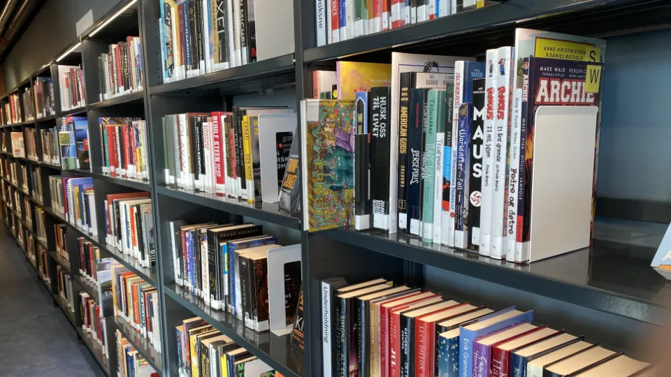 Det er nå PIAAC2 begynner Bokhyller i et bibliotek fylt med et variert utvalg av bøker, inkludert tegneserier, romaner og faglitteratur.