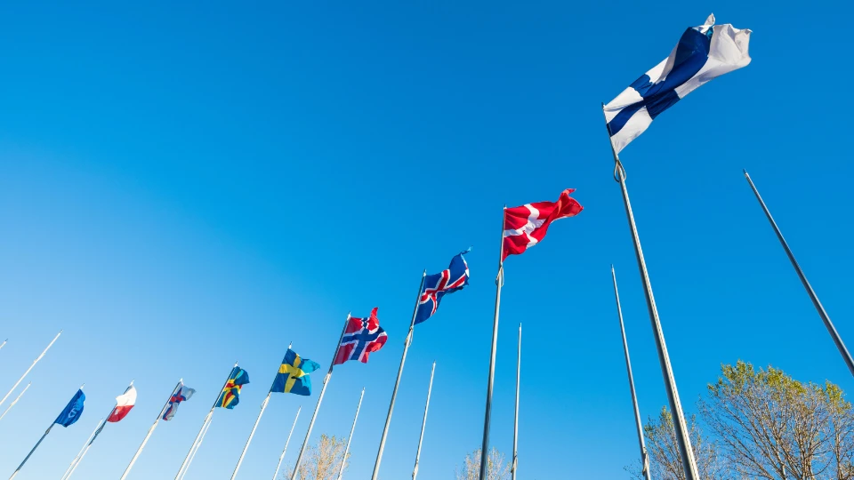 Row of Nordic and European flags waving on tall flagpoles against a clear blue sky.